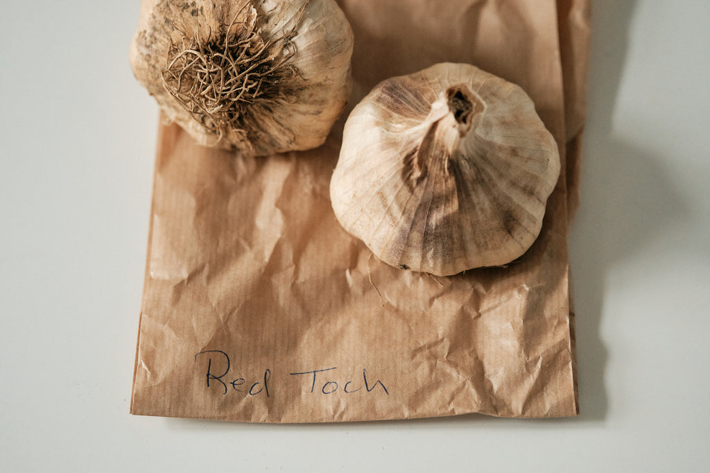Red Toch (Artichoke Garlic)