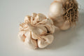 Red Toch (Artichoke Garlic)