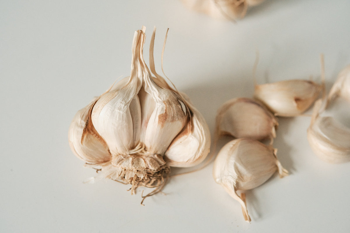 Red Toch (Artichoke Garlic)