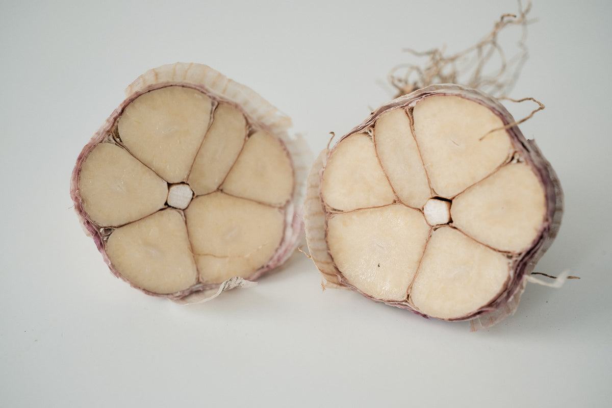 Russian Giant (Rocambole Garlic)