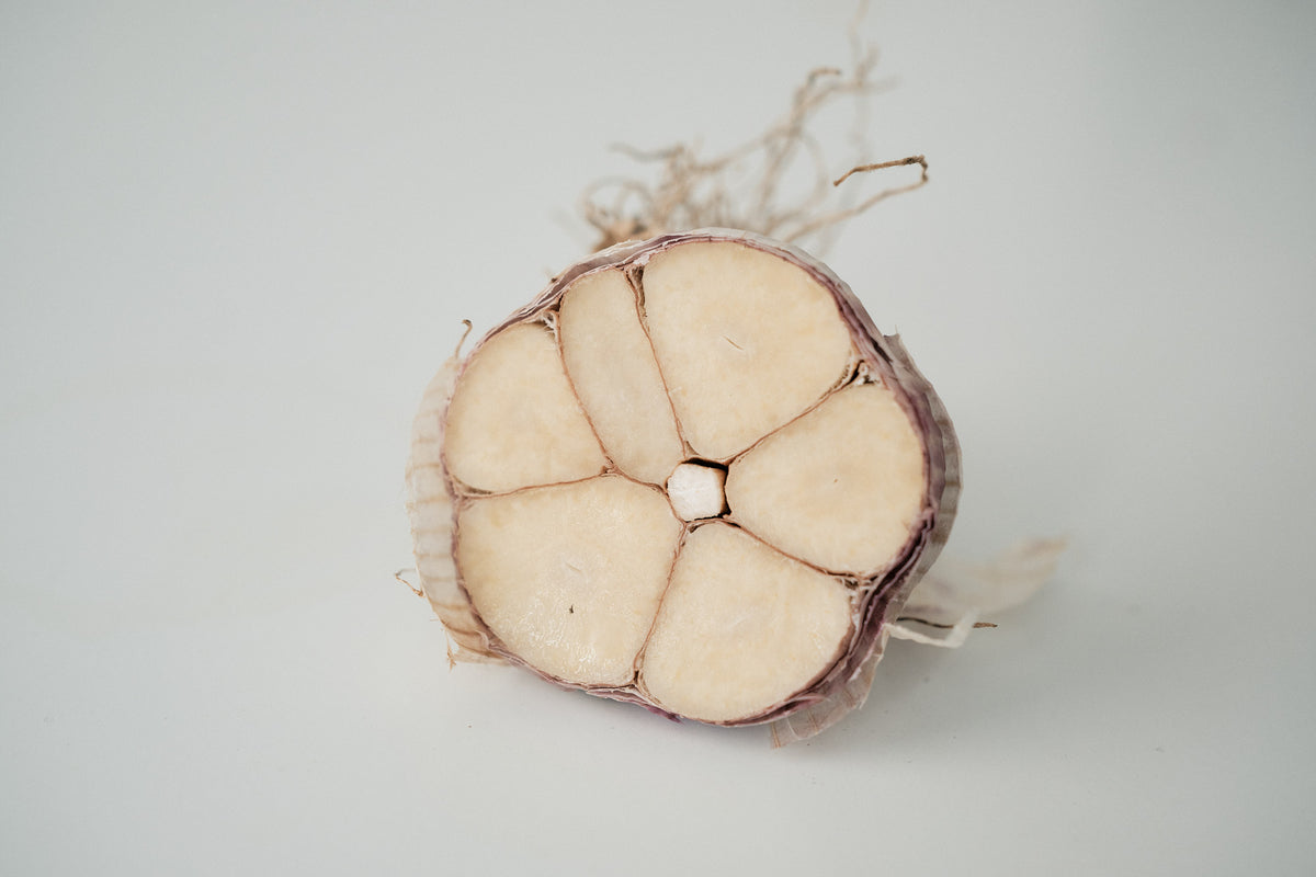 Russian Giant (Rocambole Garlic)