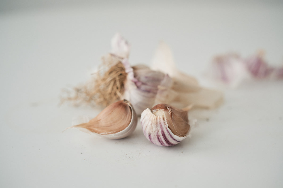 Russian Giant (Rocambole Garlic)