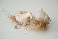 Russian (Standard Purple Stripe Garlic)