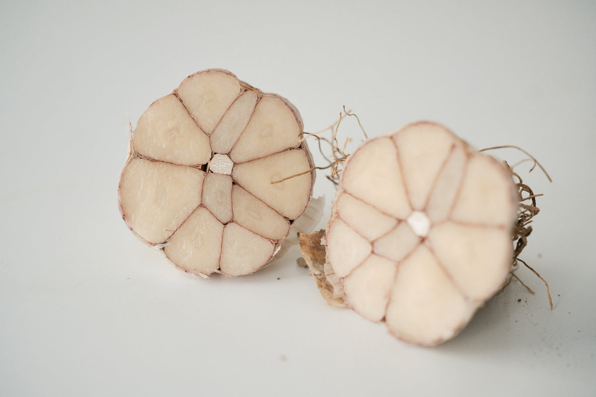 Russian (Standard Purple Stripe Garlic)