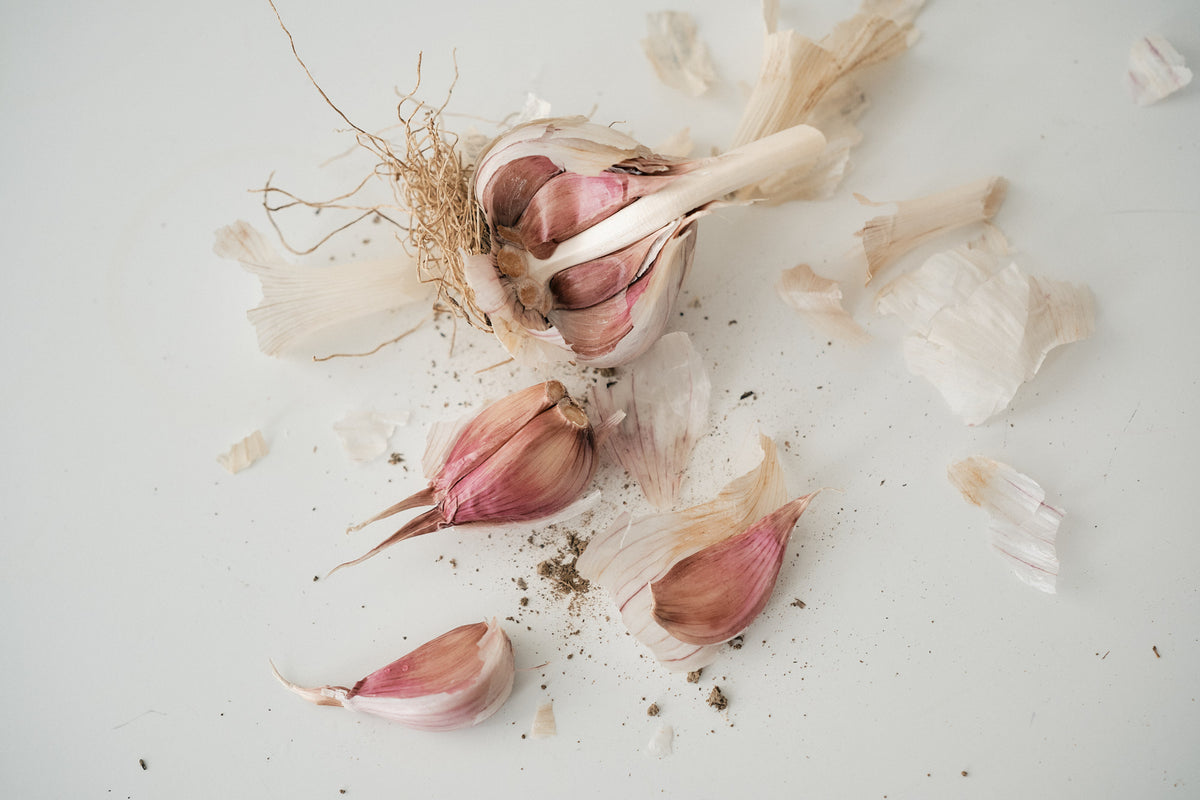 Russian (Standard Purple Stripe Garlic)
