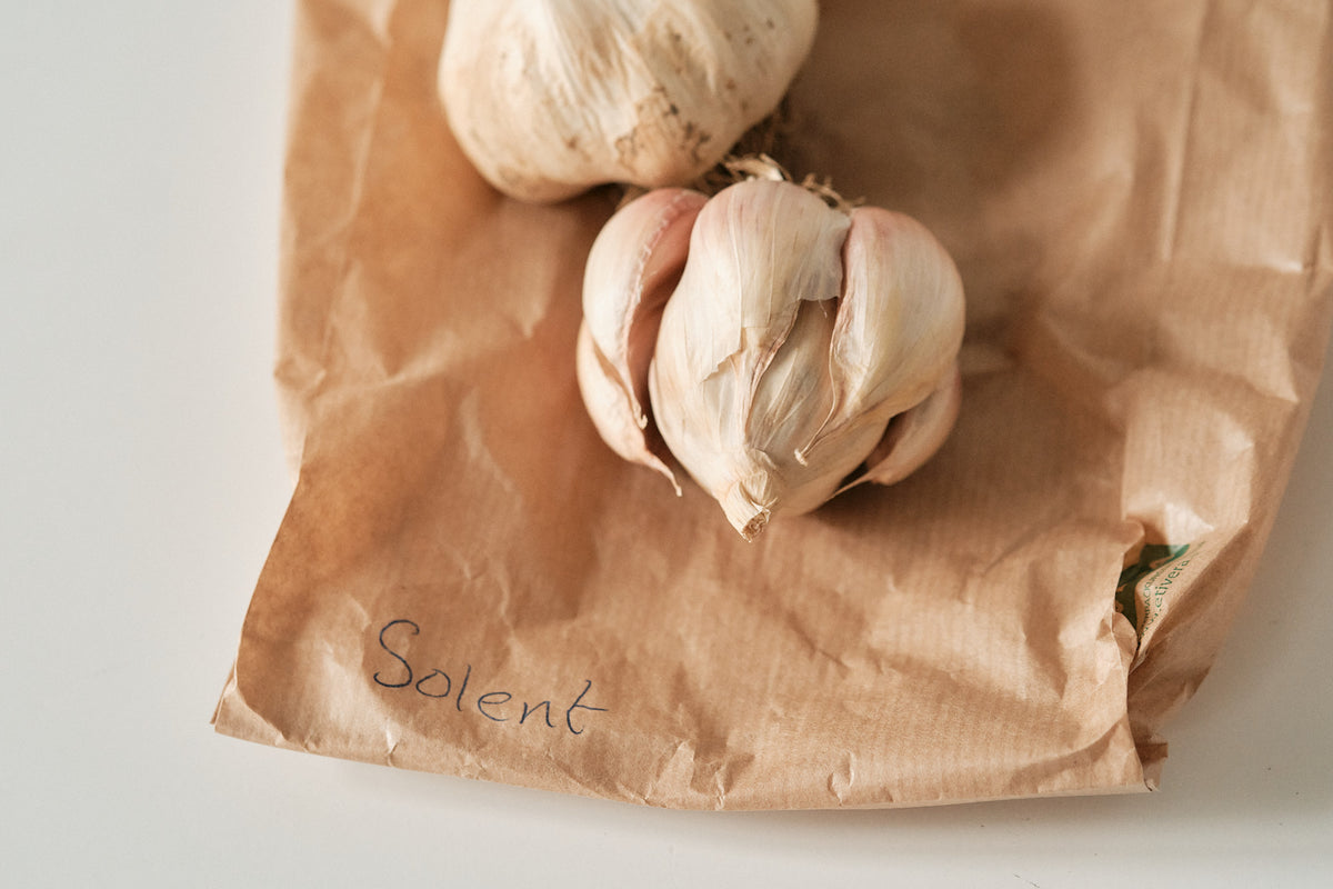 Solent (Silverskin Garlic)