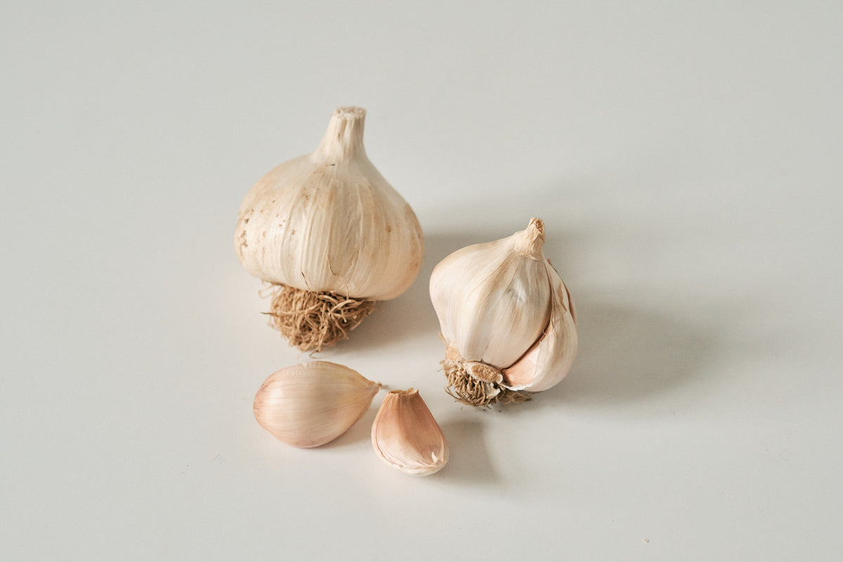 Solent (Silverskin Garlic)