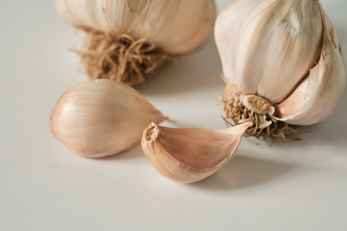 Solent (Silverskin Garlic)