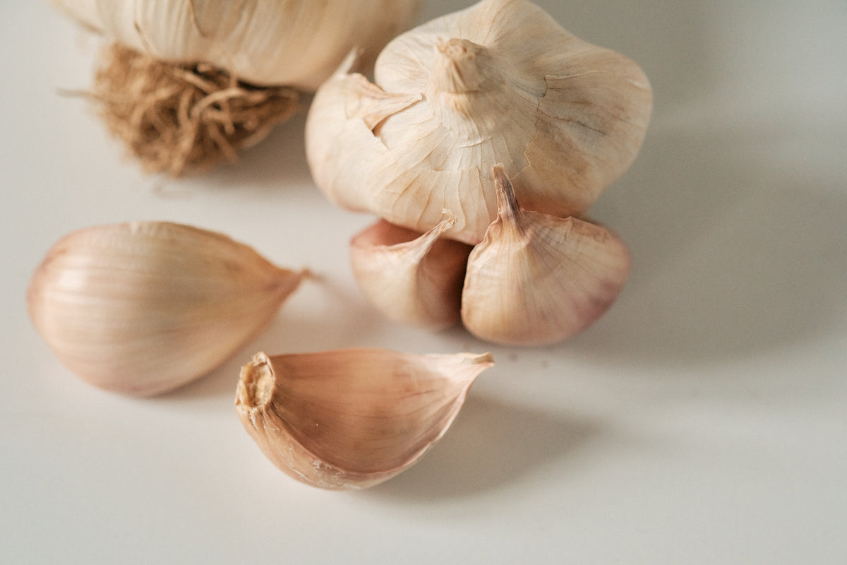 Solent (Silverskin Garlic)