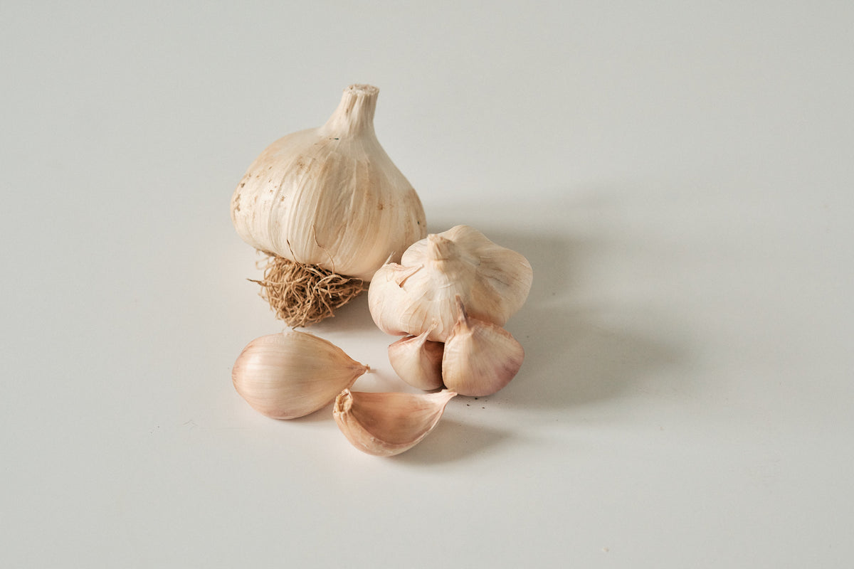 Solent (Silverskin Garlic)