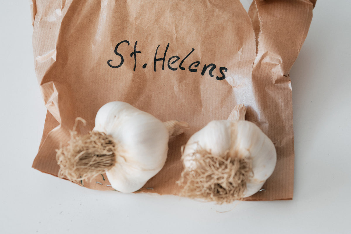 St. Helens (Silverskin Garlic)