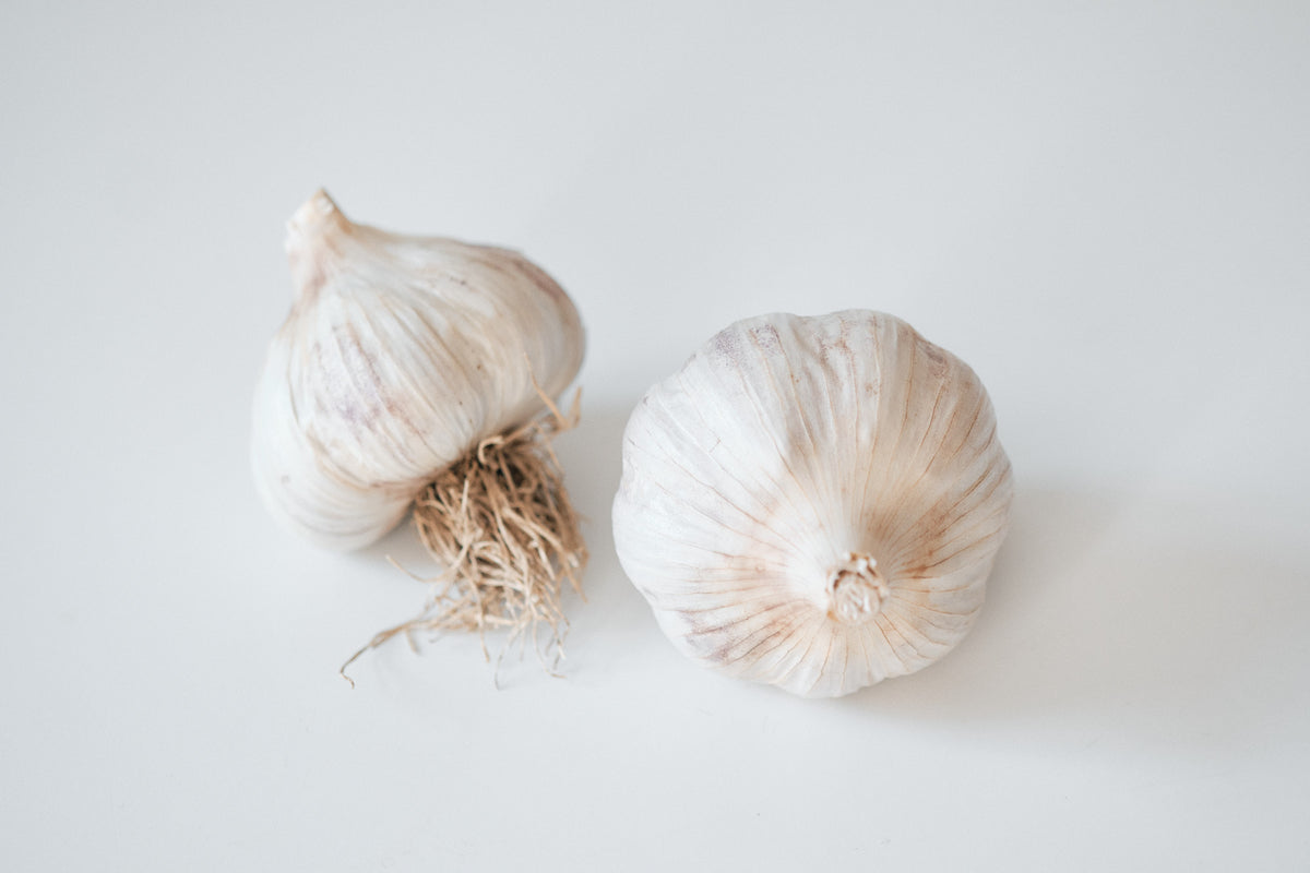 Striped Glazer (Glazed Purple Stripe Garlic)