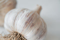 Striped Glazer (Glazed Purple Stripe Garlic)