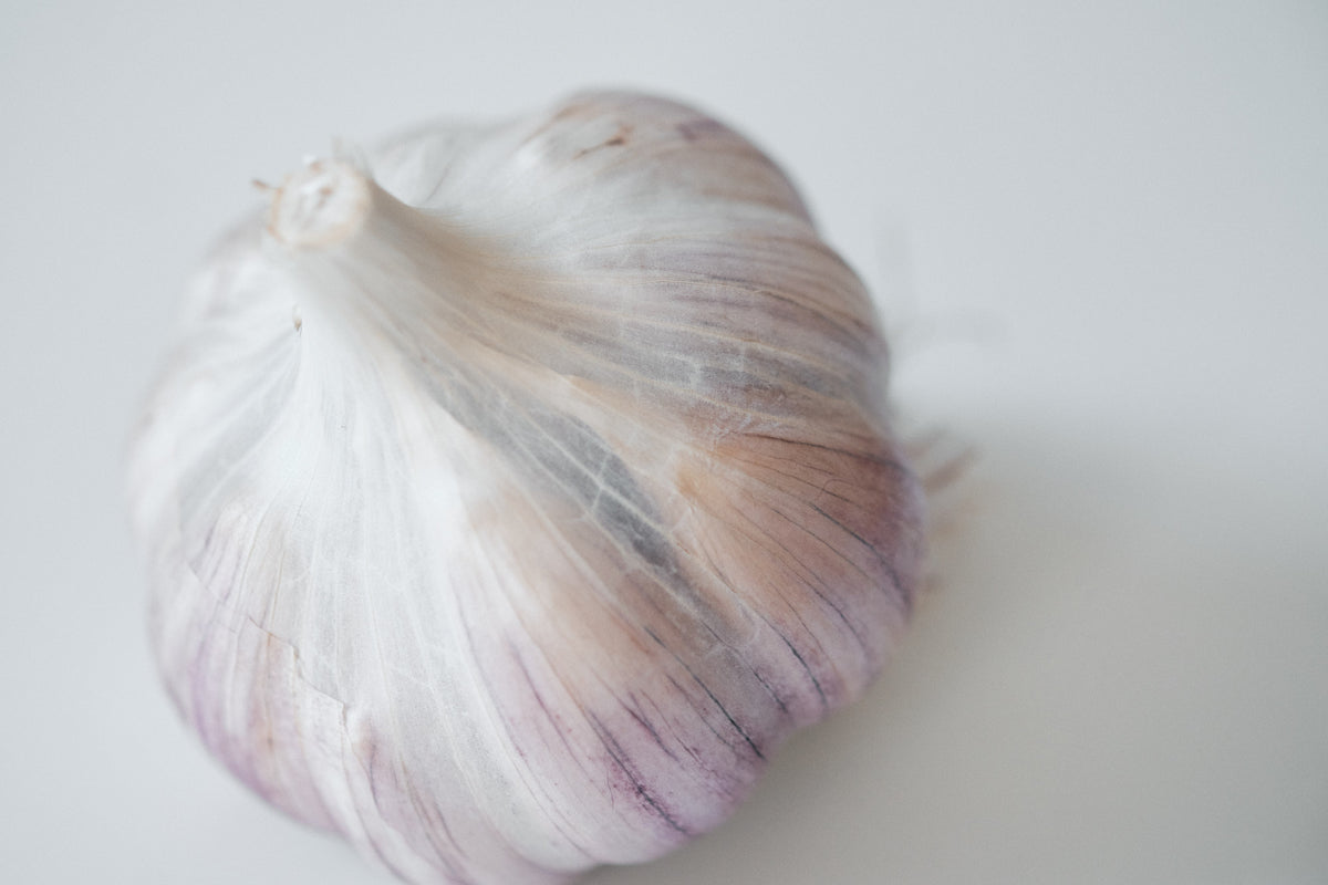 Striped Glazer (Glazed Purple Stripe Garlic)