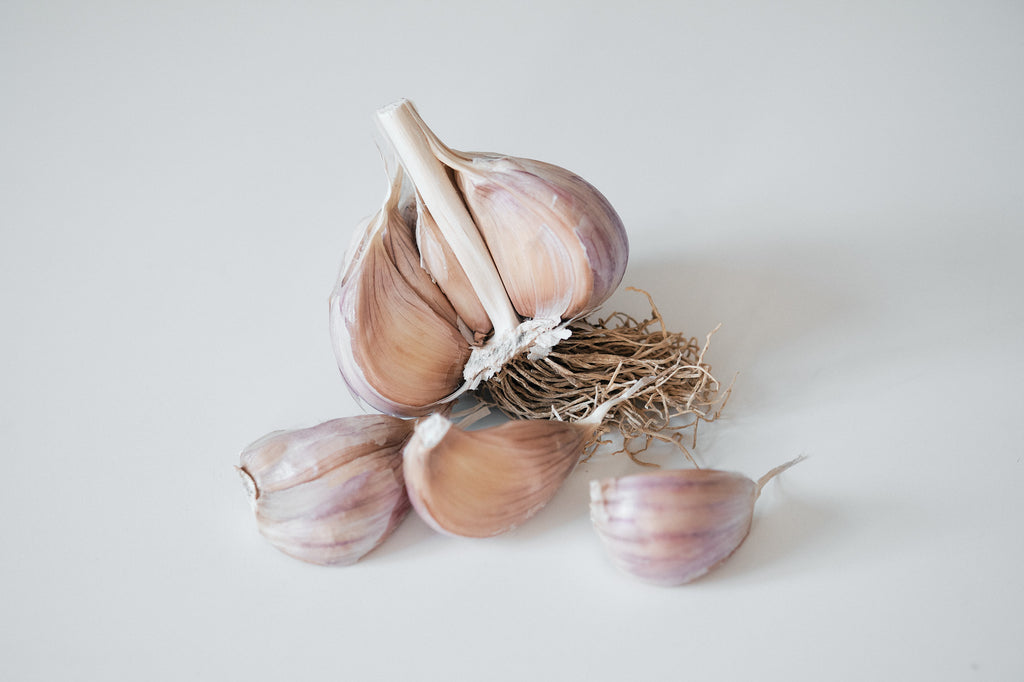 Striped Glazer (Glazed Purple Stripe Garlic)