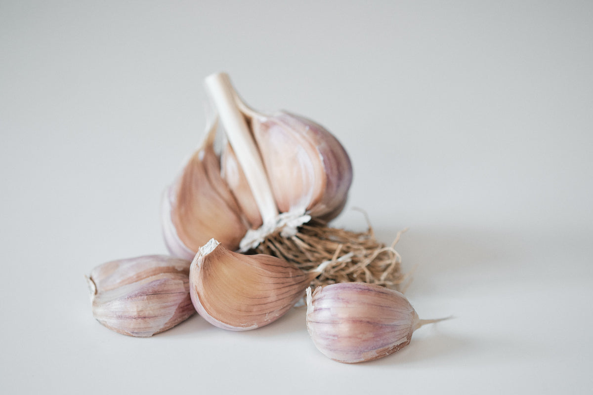 Striped Glazer (Glazed Purple Stripe Garlic)