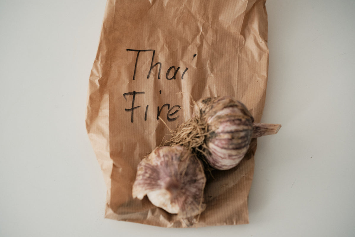 Thai Fire (Turban Garlic)