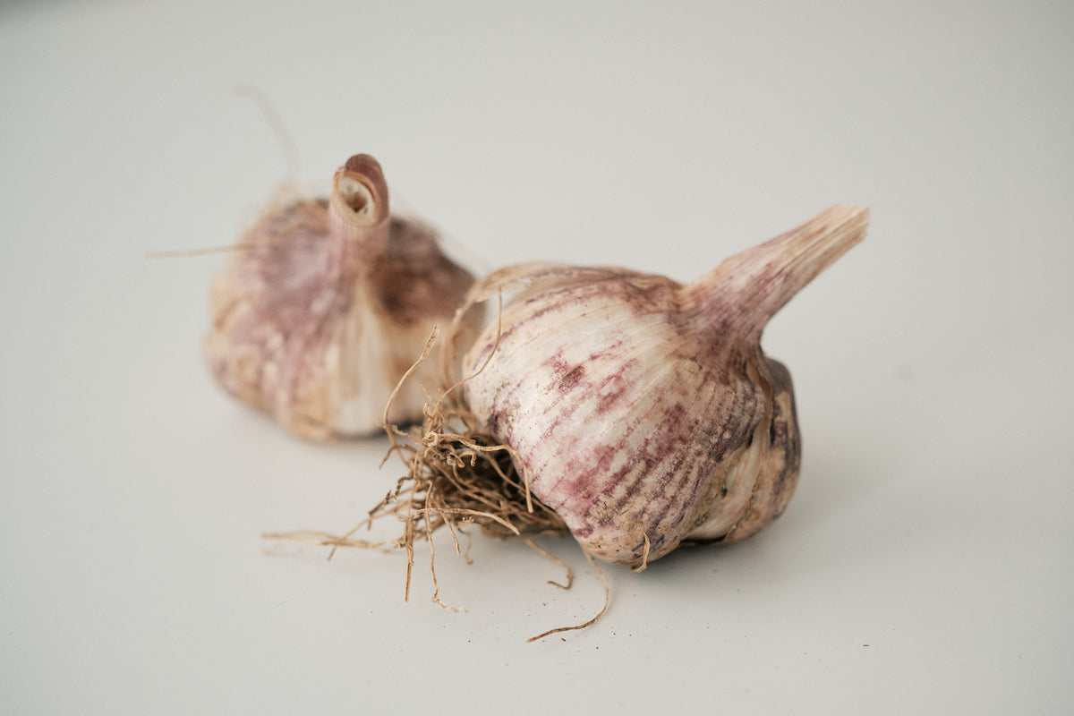Thai Fire (Turban Garlic)
