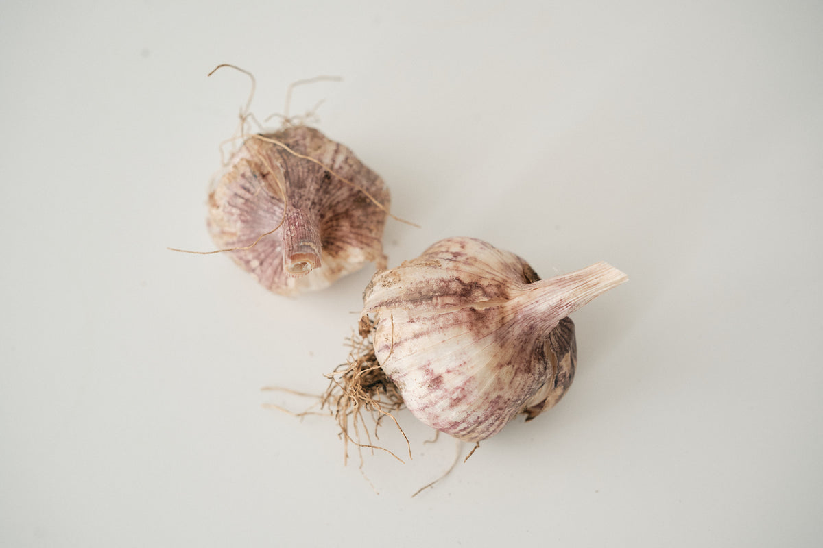 Thai Fire (Turban Garlic)