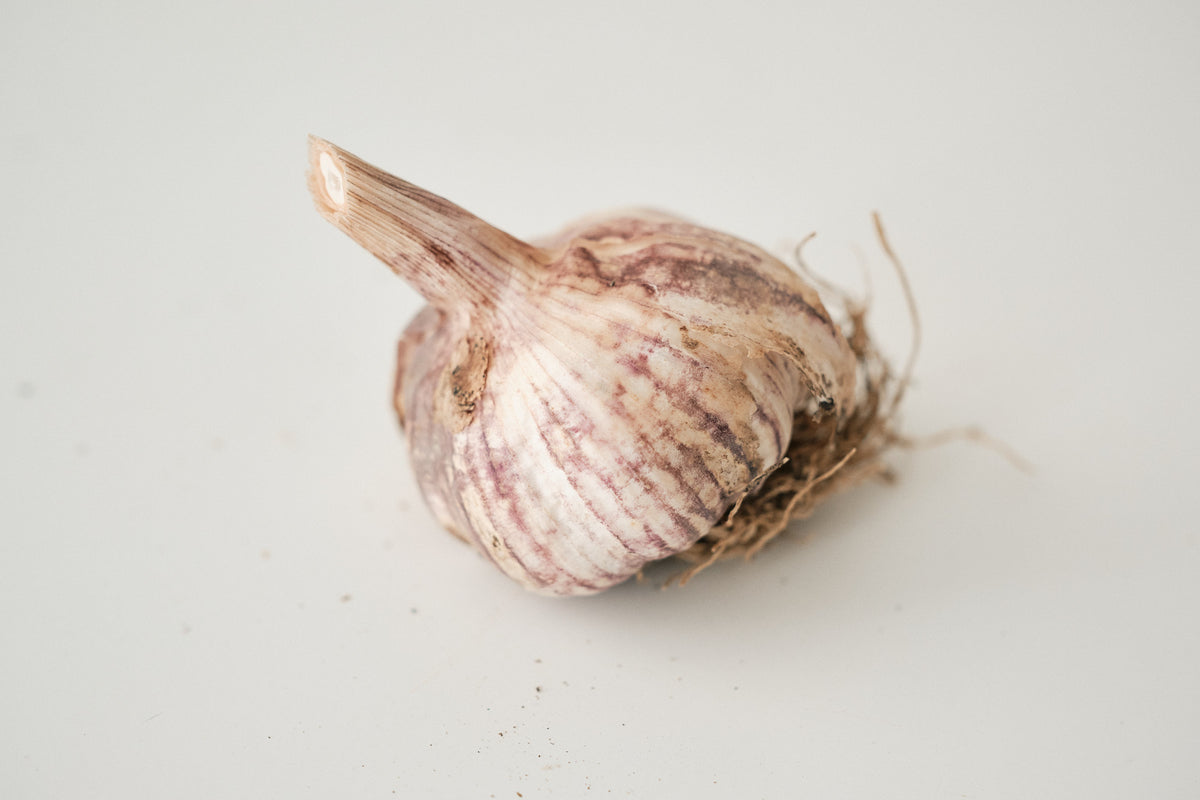 Thai Fire (Turban Garlic)