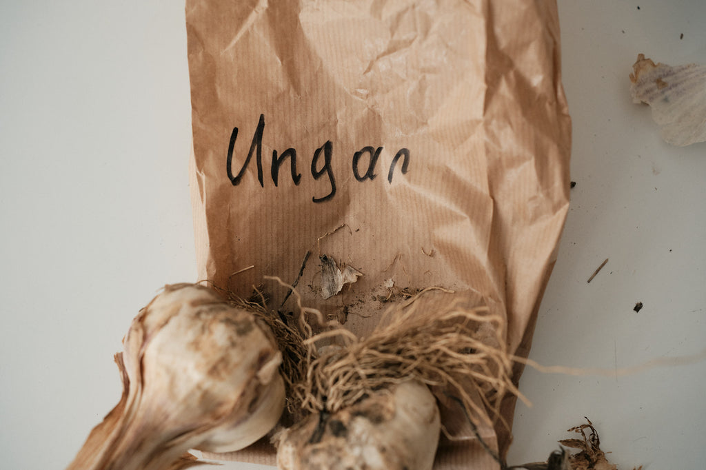Hungarian (Artichoke Garlic)