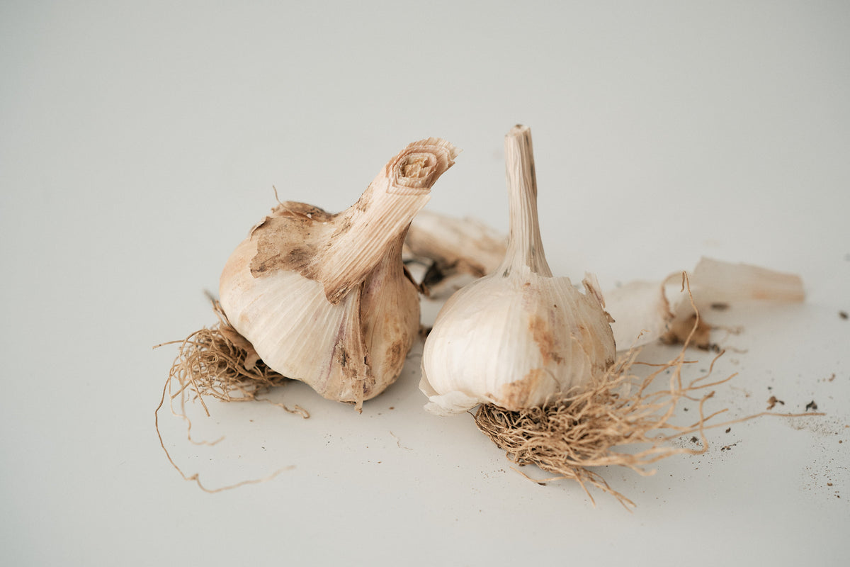Hungarian (Artichoke Garlic)