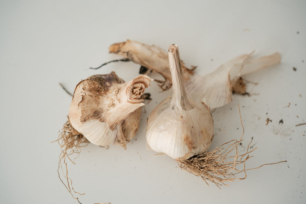 Hungarian (Artichoke Garlic)