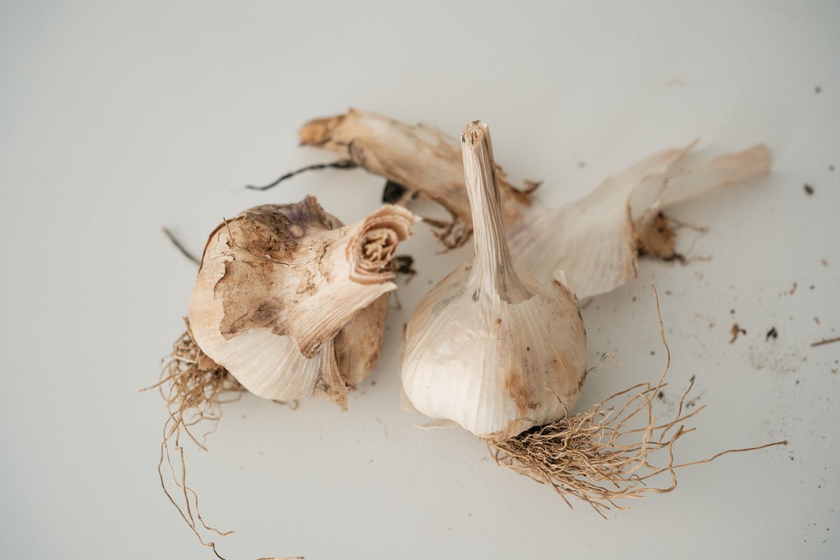 Hungarian (Artichoke Garlic)