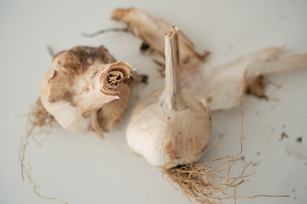Hungarian (Artichoke Garlic)