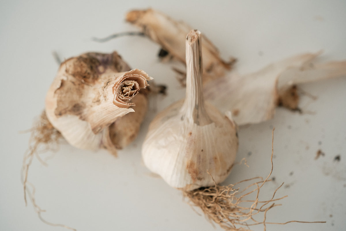 Hungarian (Artichoke Garlic)